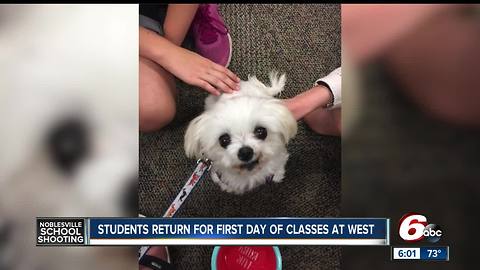 Support dogs on hand at Noblesville West for final week of school