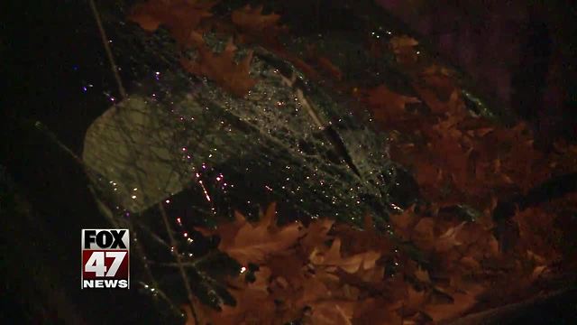 Man seriously hurt after swerving to miss hitting deer, crashes into tree