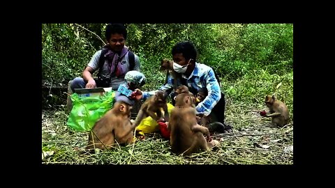 Lucky Day! Rojo and Family Very Happy To Get Huge Fruit From Kosal