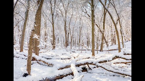 Photographing Snow in April