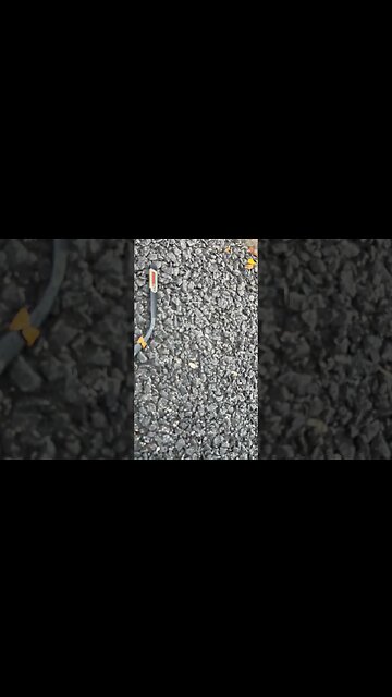 Gucci what happened?#blackyoutube #fashion#short