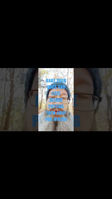 raking your dogs and cats for winter