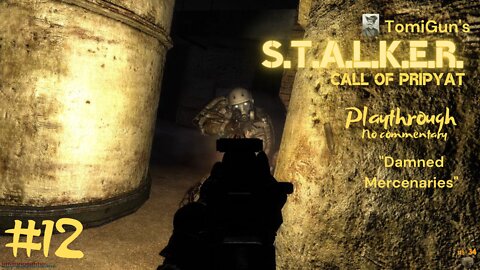 S.T.A.L.K.E.R. Call of Pripyat #12: Damned Mercenaries