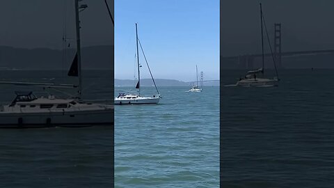 Sailboats in San Francisco #boating