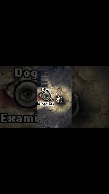 Doggo Had to Go I'm Sorry | Darkwood #shorts #darkwood