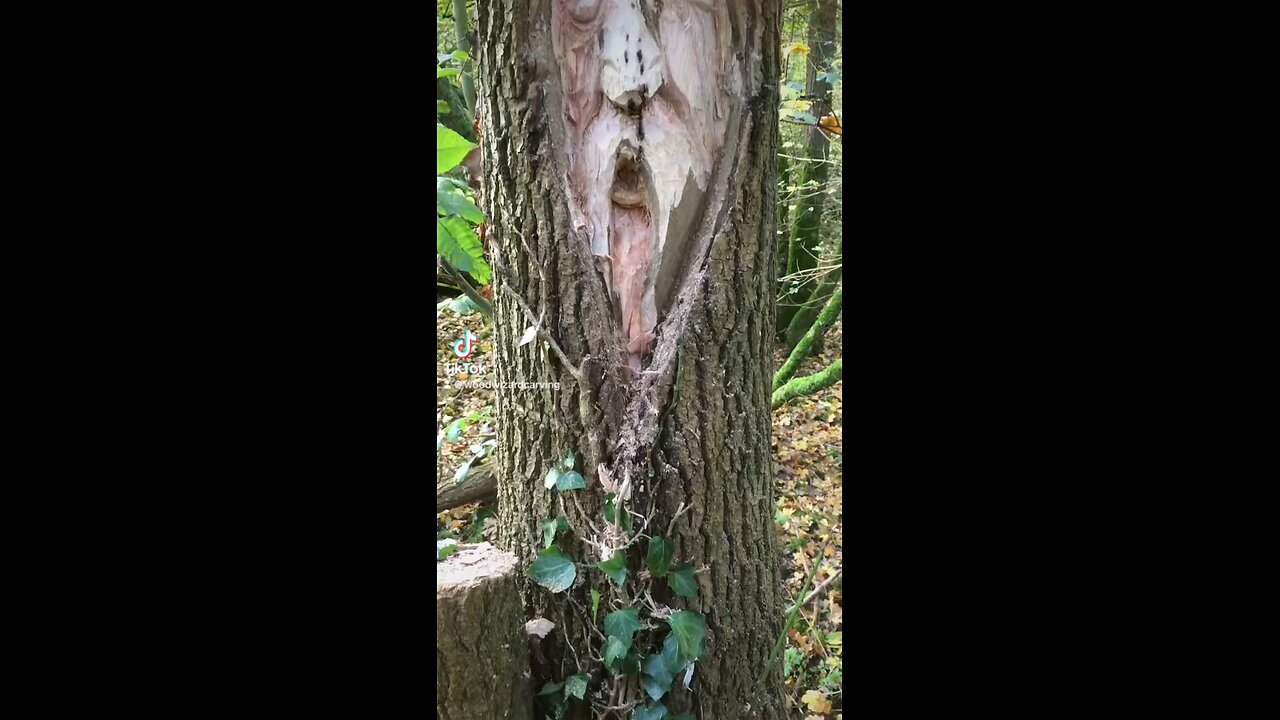 Ash tree wood carving