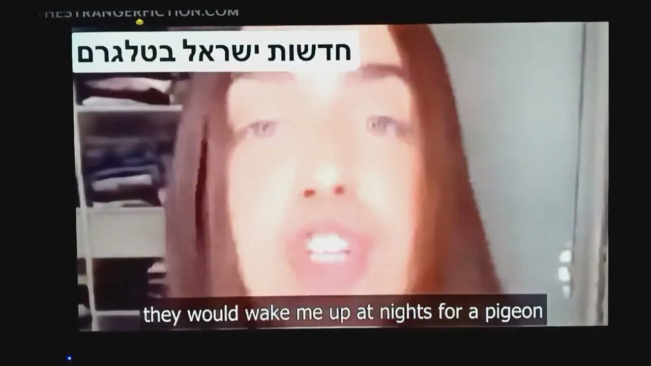 A cockroach couldn’t get past Israel’s sensors without them first knowing about