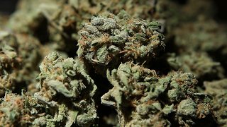 Florida Lawmakers Vote To End Ban On Smokable Medical Marijuana