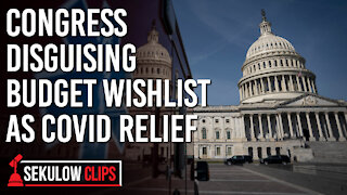 Congress Used New Stimulus Bill to Aid Selected Projects, Taking Money from Struggling Americans