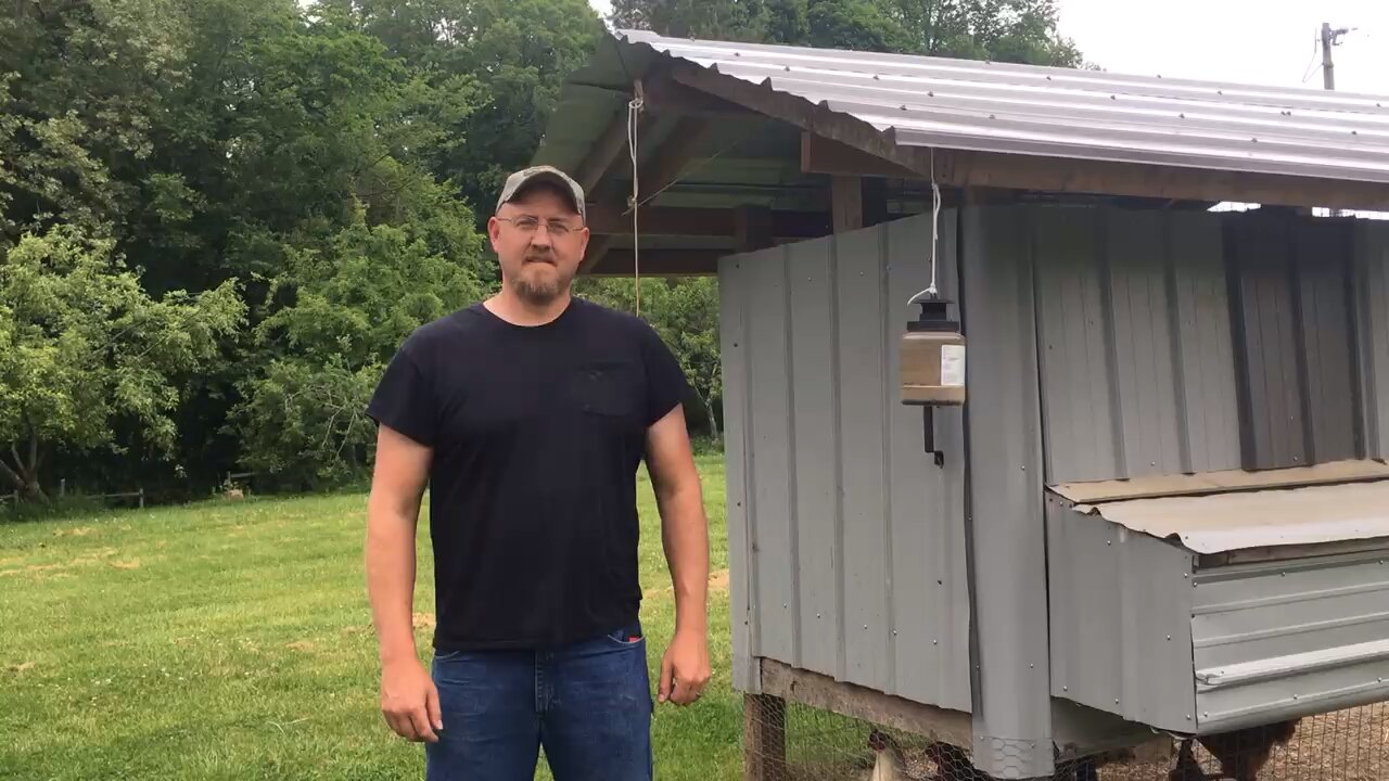 Homemade Chicken Coop design