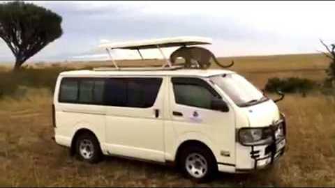 leopard climbs on a van.