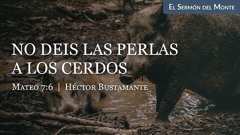 No deis las perlas a los cerdos (Mateo 7:6) - Héctor Bustamante