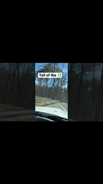 Tail of the dragon in a truck