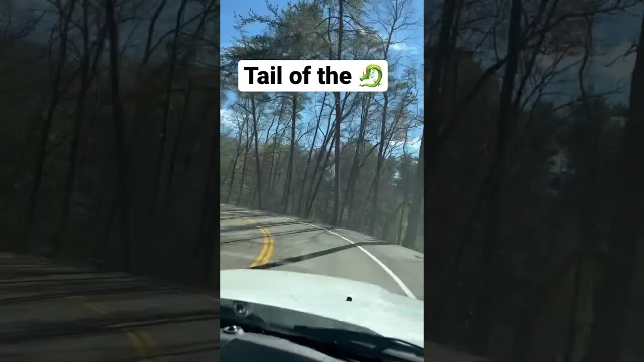 Tail of the dragon in a truck