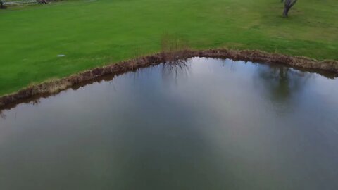 Drone over a Pond - Royalty Free Stock Video