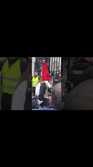 Guard makes her jump #horseguardsparade