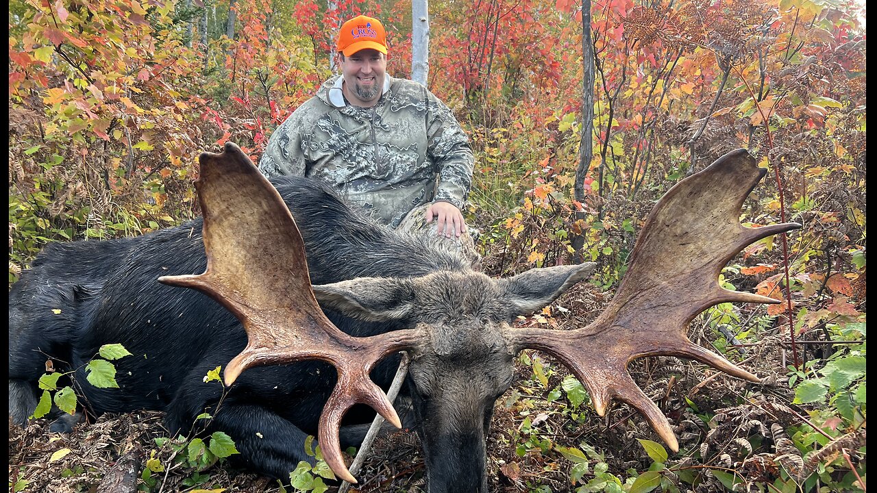 Maine Moose Hunt in the North Maine woods