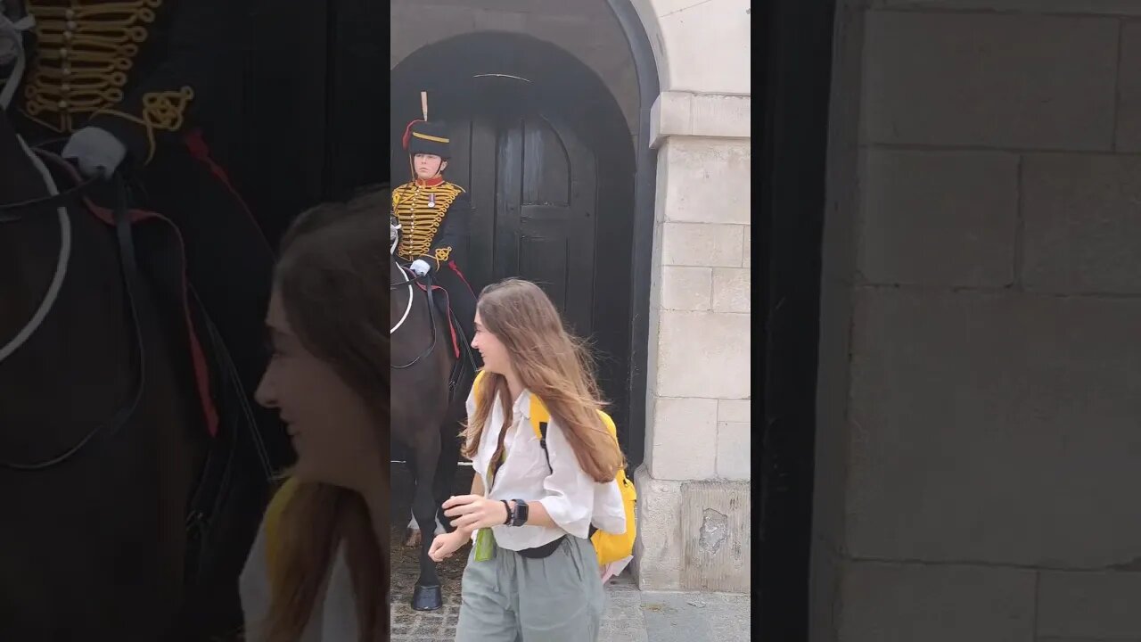 Horse does not want you touching the reins #horseguardsparade