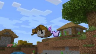 Floating Items in Minecraft?