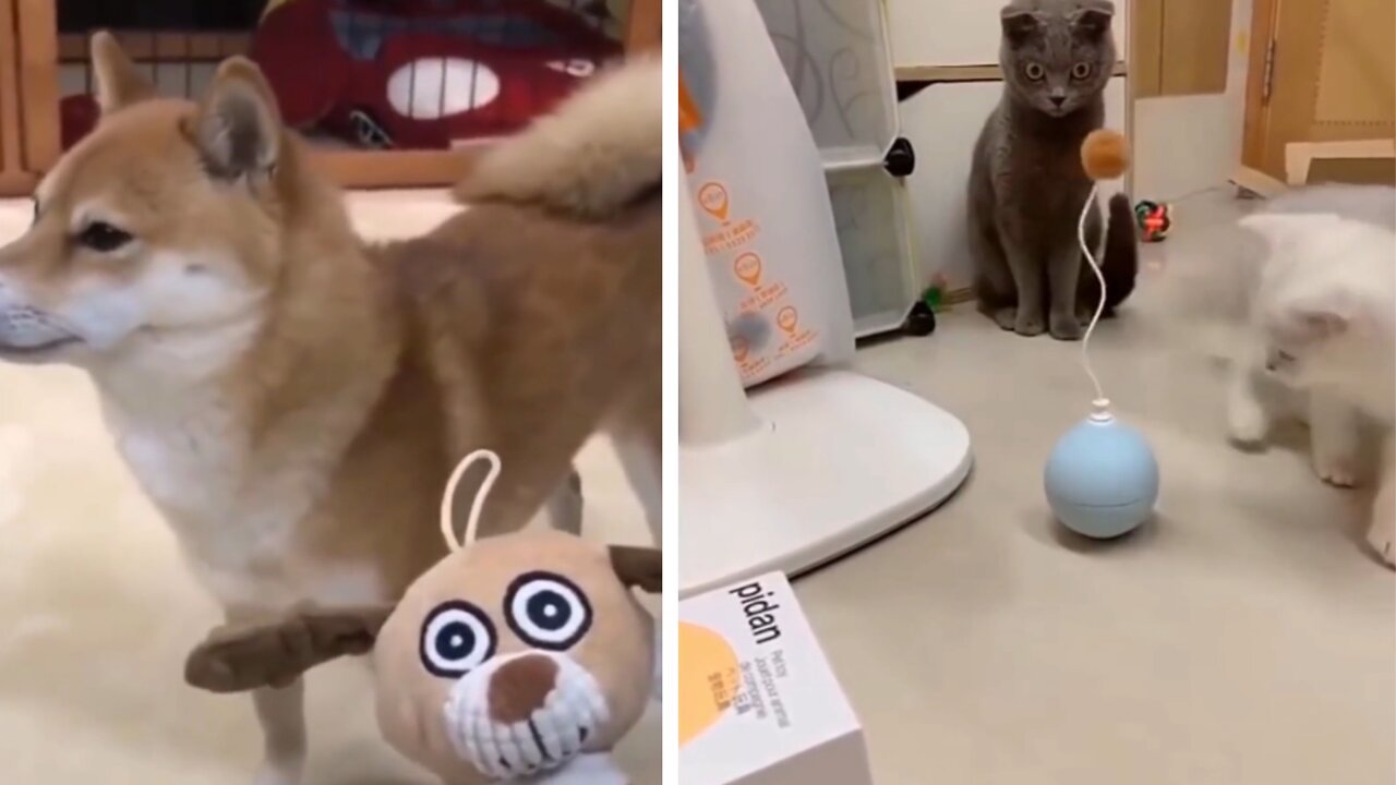 it's interesting to see their reaction