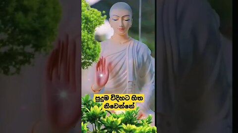 යශෝදරා මහ රහත් තෙරනින් වහන්සේට මාගේ නමස්කාරය වේවා 🙏🙏 #shors