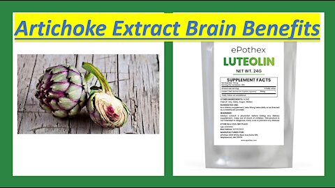 Artichoke Brain Benefits