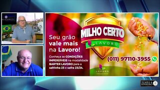 Milho Barter na Lavoro é opção certa para produtor nesta safra