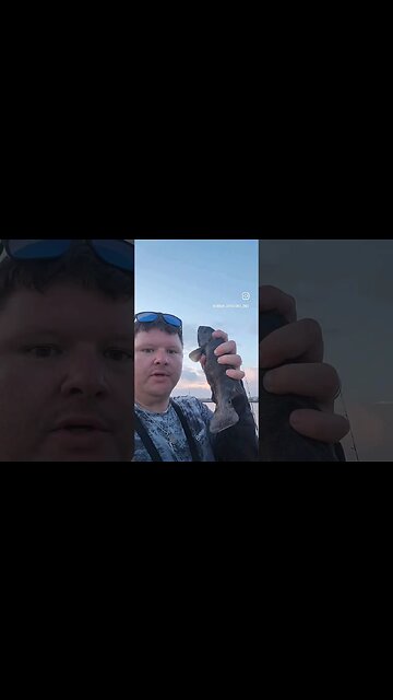 looking for Sheeps Head #blackfishing #tautog #shortsvideo #fishing