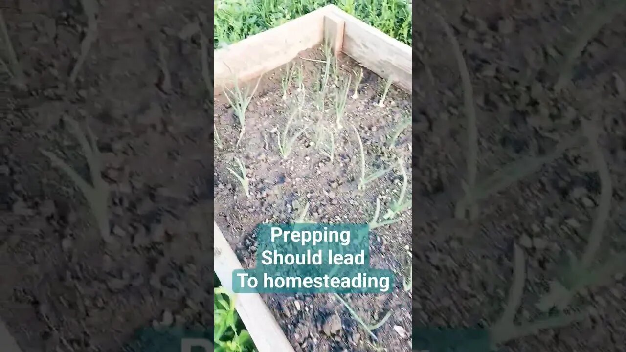 Prepping Should Lead to Homesteading. #FYIR