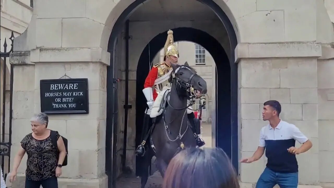 Two videos get your hands off the reins 2022 #horseguardsparade