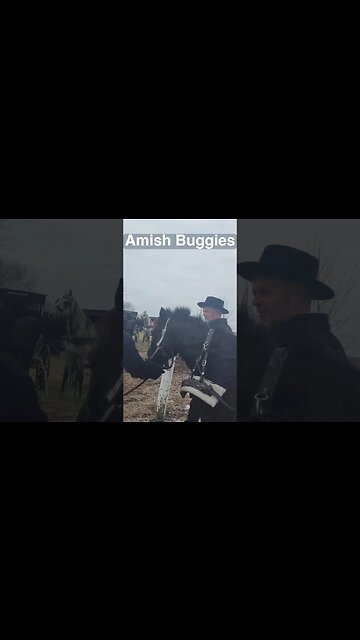 Amish Horse & Buggies Leaving Church. #amishhorseandbuggy #amishcommunity