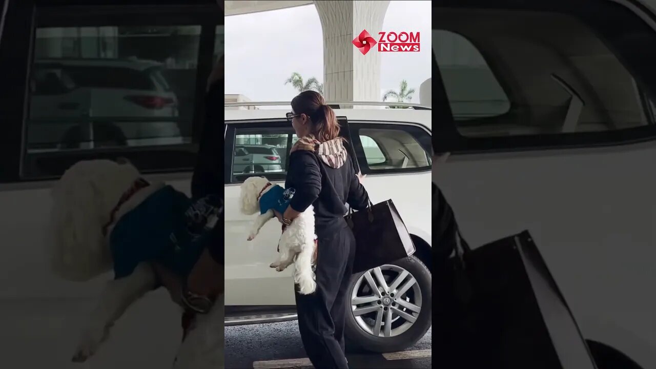 Deepti Sadhwani Lovely Moments With Her Pet At Mumbai Airport 😎📸✈️