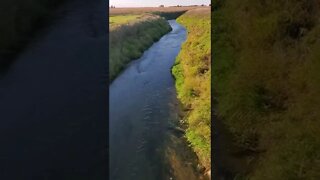 beautiful windy creek.