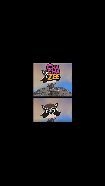 Meet ChaCha & Zee's New Friend, Ringo!