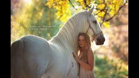 Most Beautiful Horse 2022