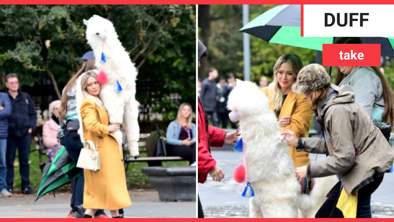 Moment Hilary Duff carries massive stuffed llama through New York park and prop's head falls off