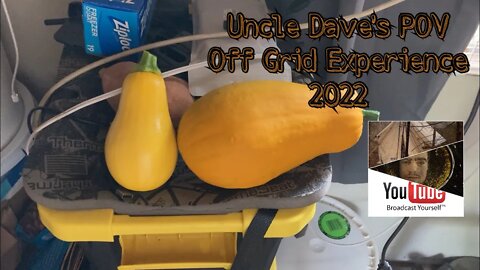 Yellow Summer Pumpkin cross (2022)