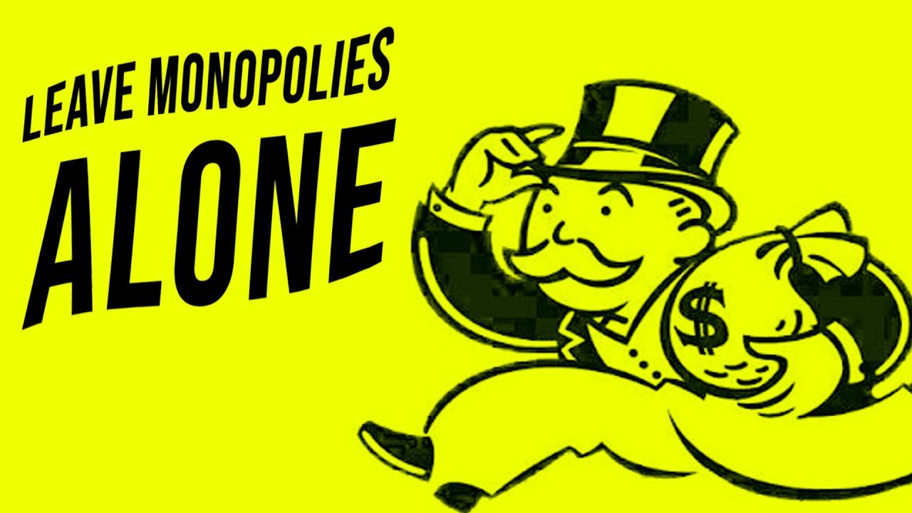 The Only Way to Deal with Big Business/ Monopolies...