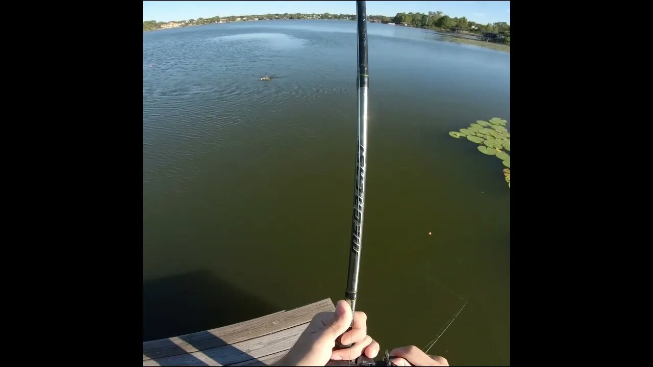 catching a big one