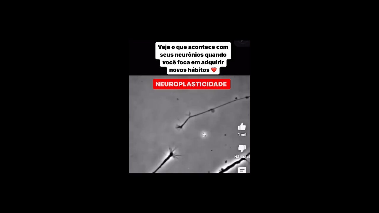 O que é uma neuroplasticidade?