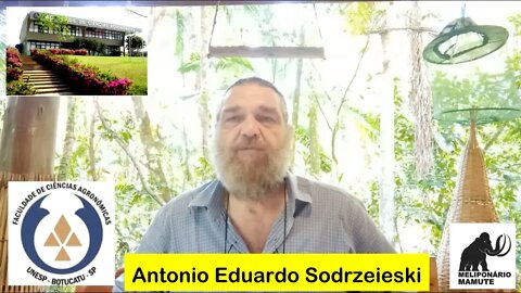 Meliponário Mamute - Abelhas nativas com agrofloresta