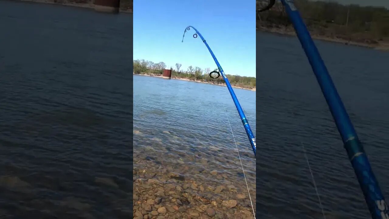 Chickamauga Dam Fishing