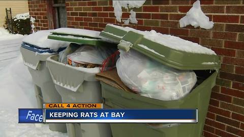 Call 4 Action: Avoiding a rat problem