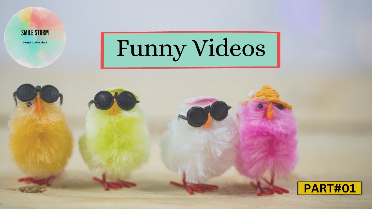 Funny Videos Compilation Part # 01