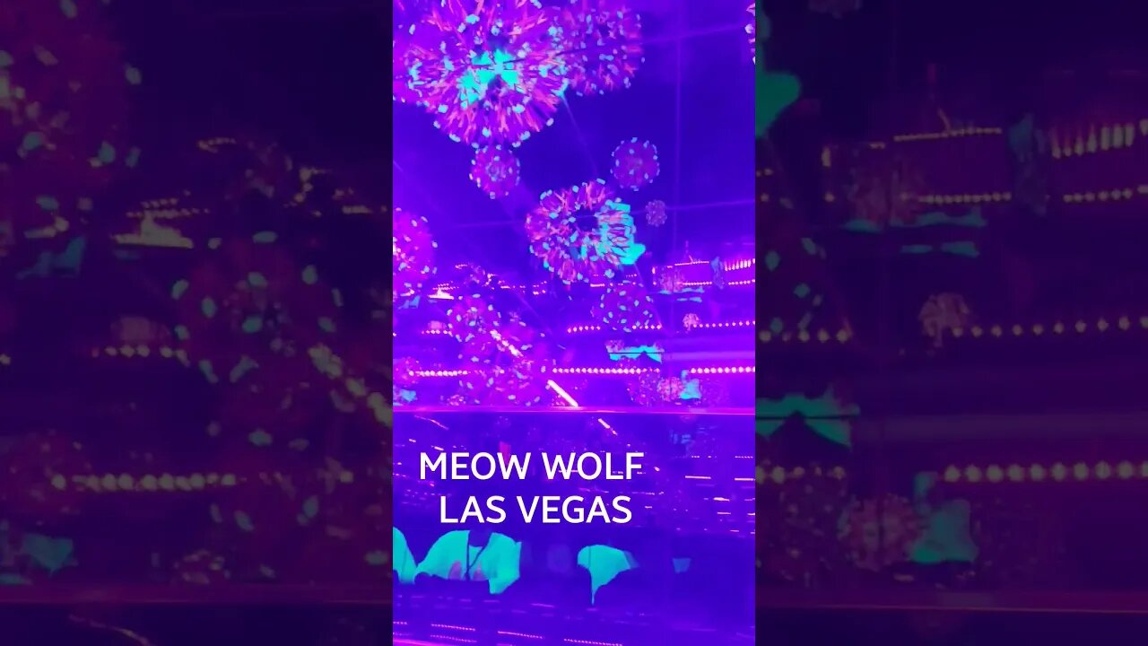 Meow Wolf Area 15 In Las Vegas. FREE admission. Has shows, exabits, secret mazes, dining & bars.