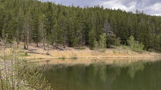 Very peaceful at lake today.