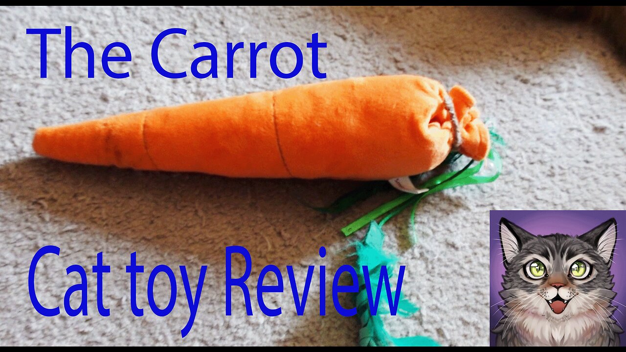 The Carrot: Cat toy Review.