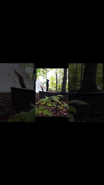 Do you like camping video’s and what do you like about them? #shorts #youtube