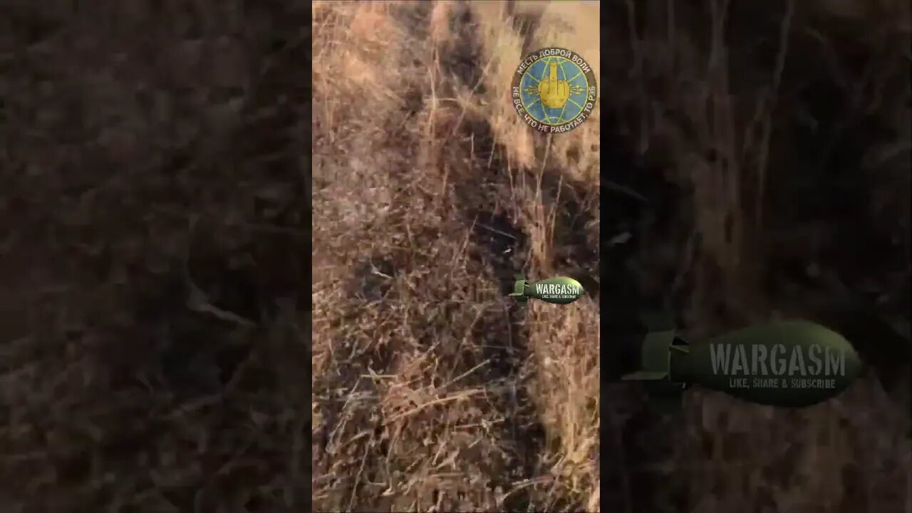 Two destroyed Strykers at Rabotino