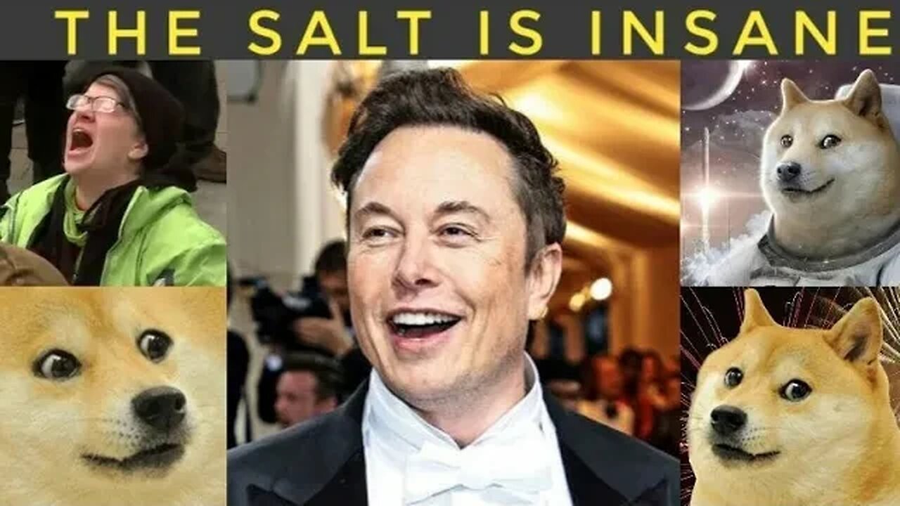 Elon Musk ( threat to our democracy ) vs celebrity puppets and puppet masters.